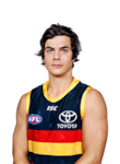 Darcy Fogarty profile picture